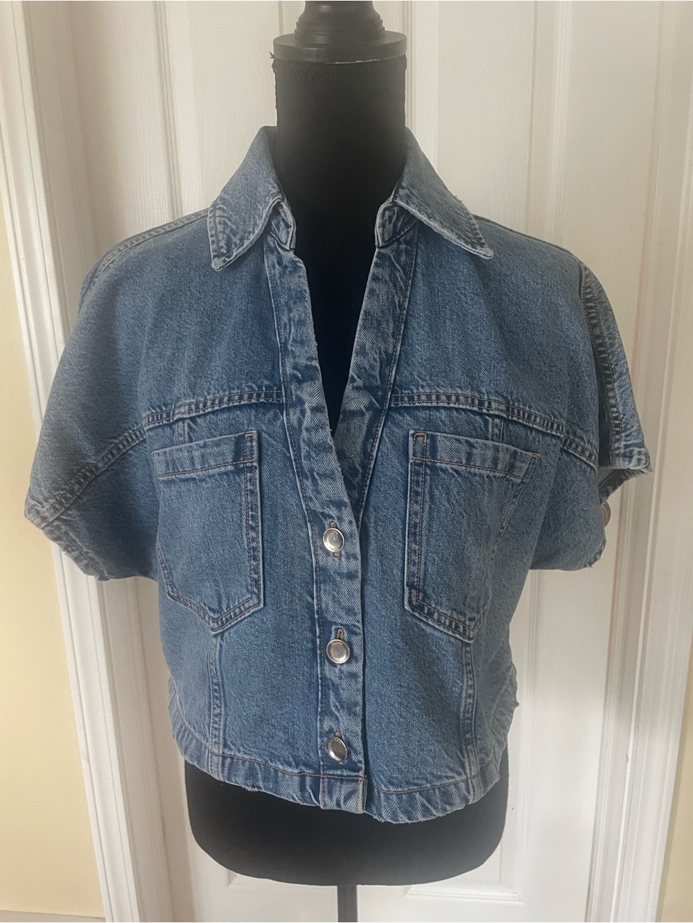 Zara Blue Denim Cropped Button-Front Top